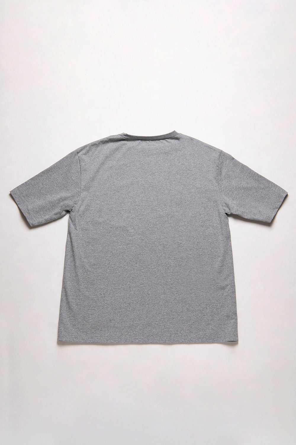 25SS BASIC BIGGIE BIG TEE