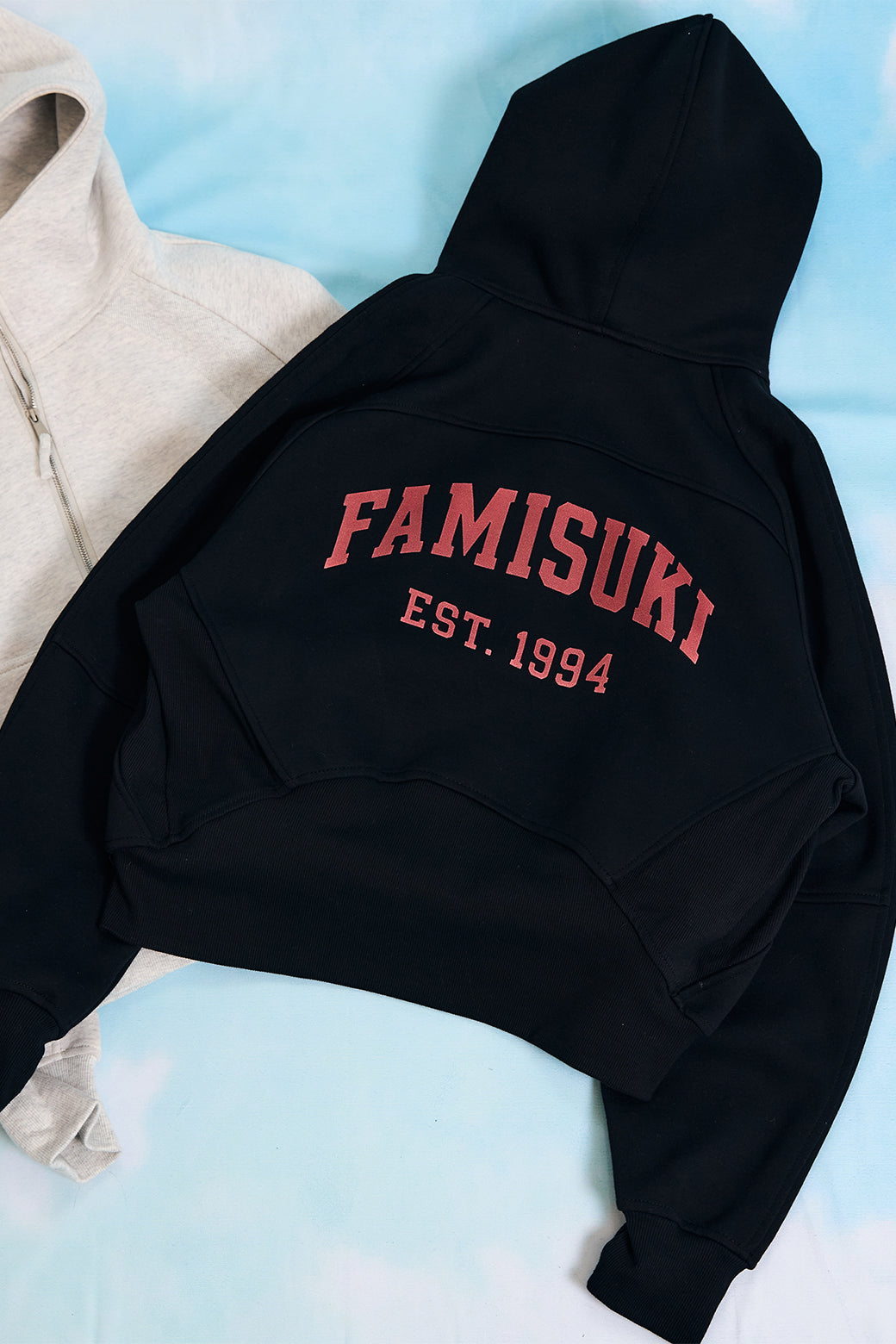HALF ZIP LOGO HOODIE