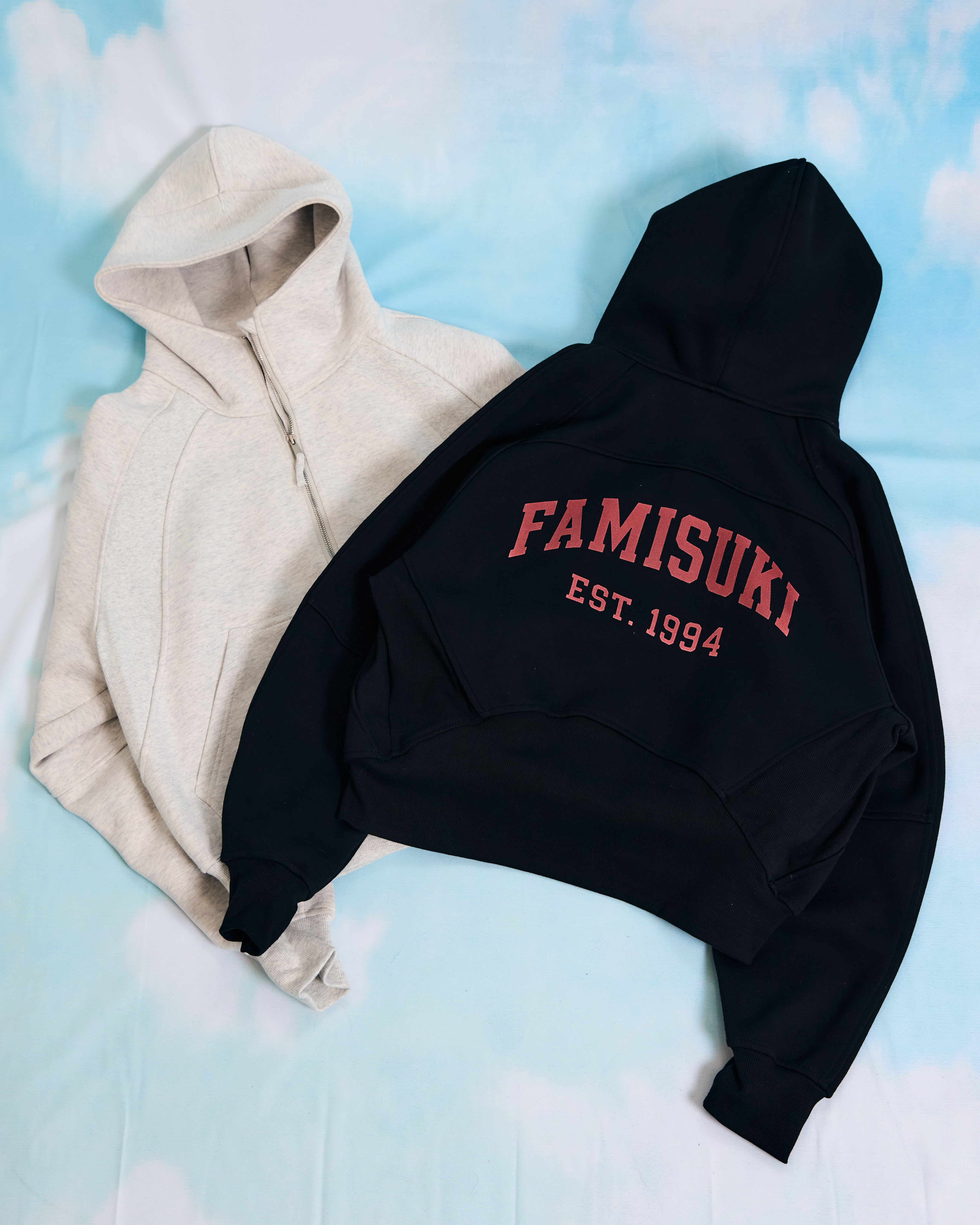 HALF ZIP LOGO HOODIE