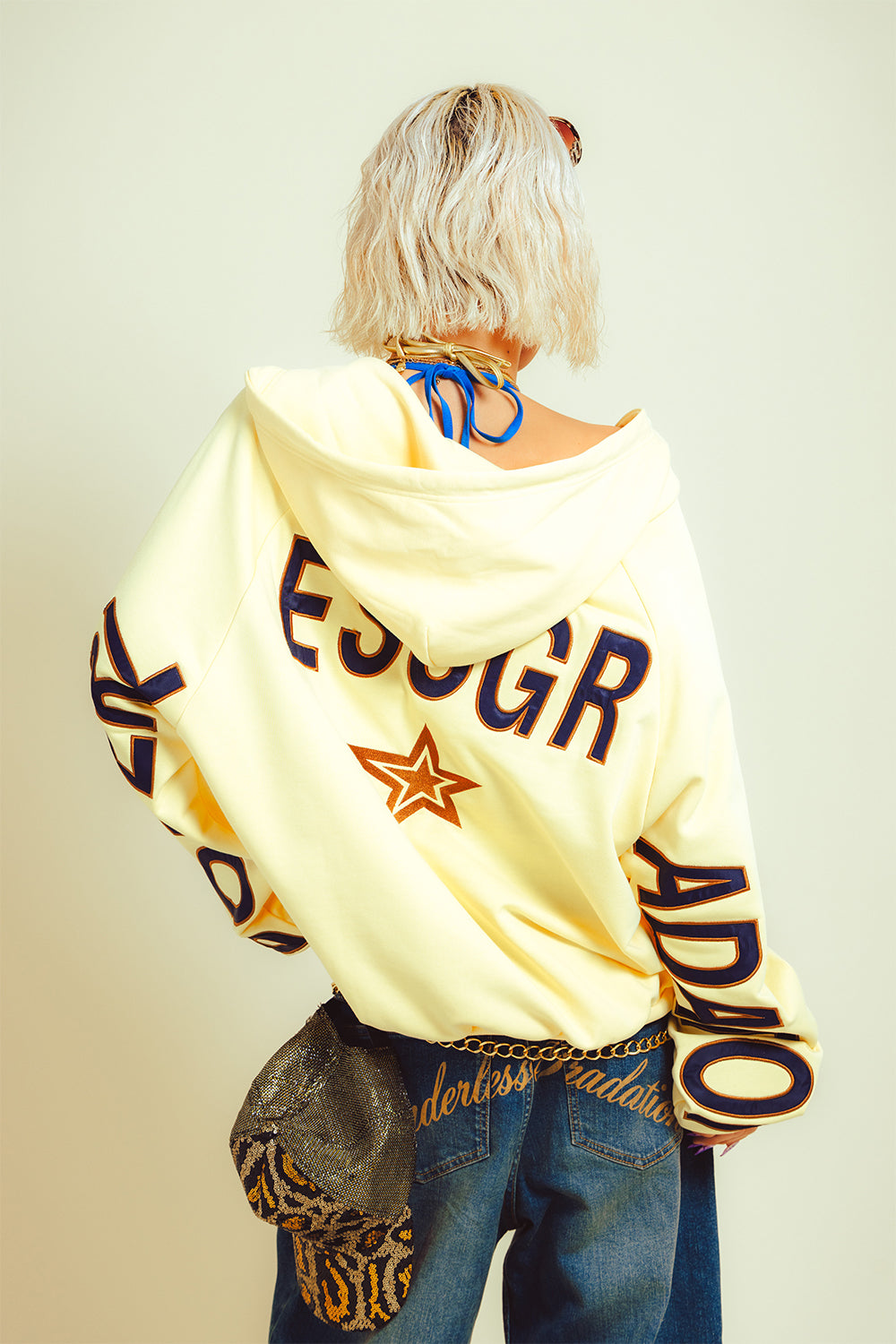 BACK BIG LOGO BG ZIP HOODIE