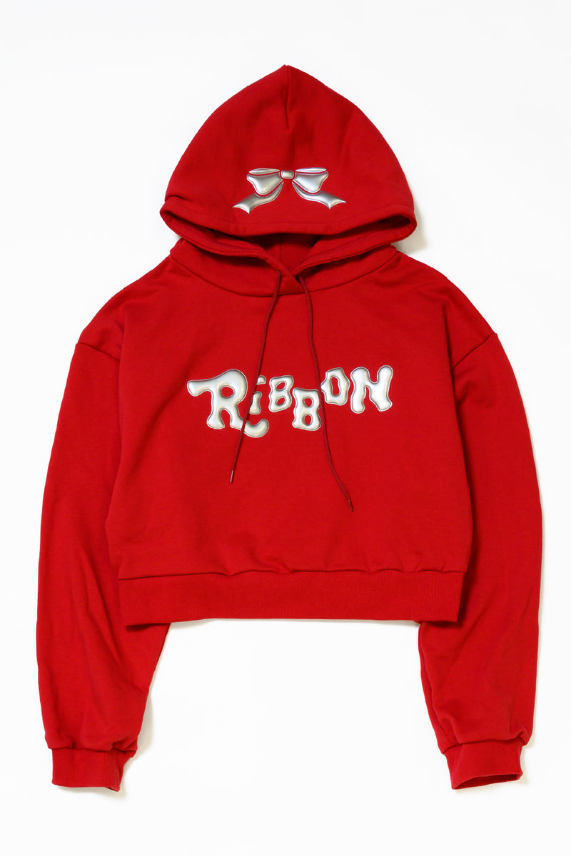 METAL RIBBON HOODIE