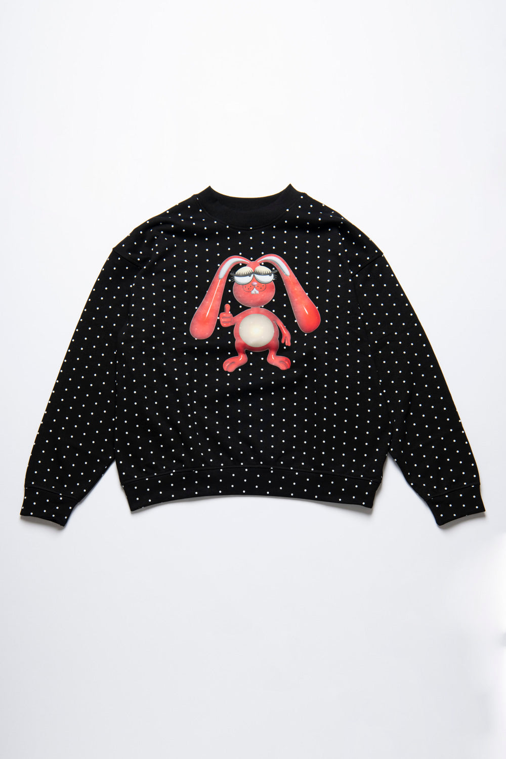25AW BIGGIE PULLOVER