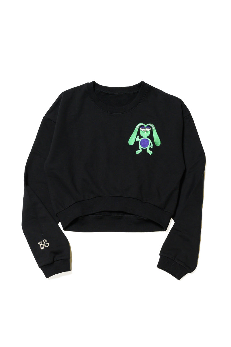 BIGGIE ONEPOINT PULLOVER