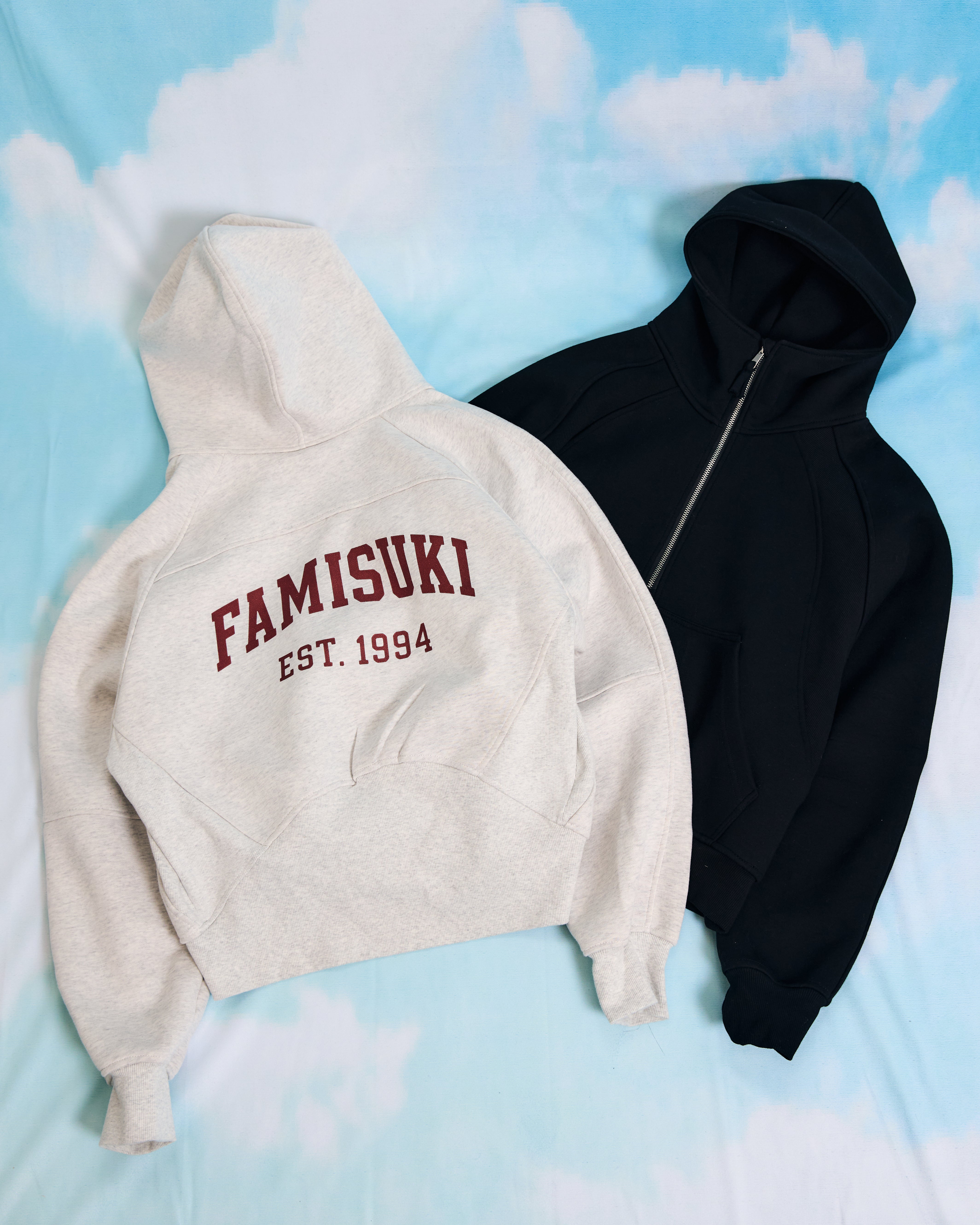 HALF ZIP LOGO HOODIE