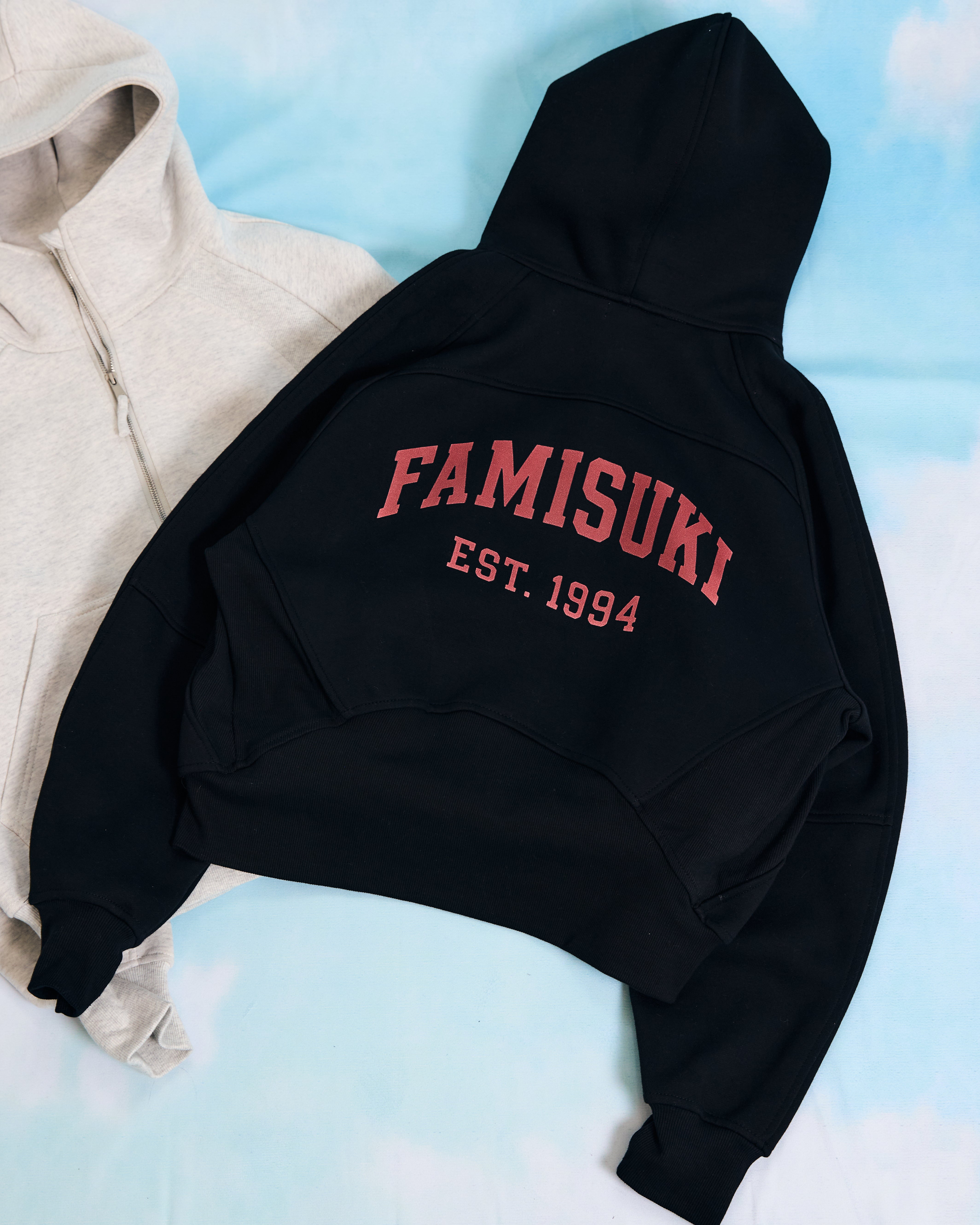 HALF ZIP LOGO HOODIE